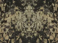 Кварцит Patagonia Black